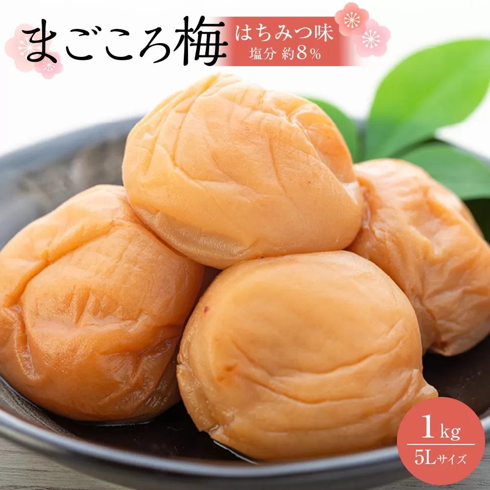 まごころ梅 はちみつ味 5Lサイズ 1kg