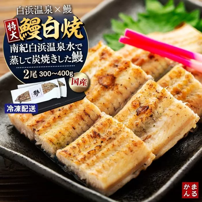 特大うなぎ白焼き2本セット（合計：300〜400ｇ)