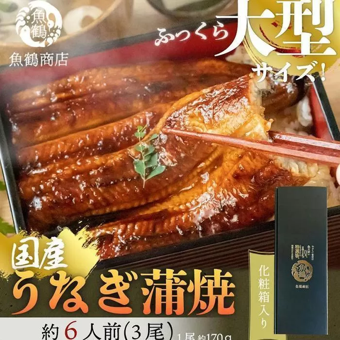 大型サイズふっくら柔らか 国産うなぎ蒲焼き 3尾