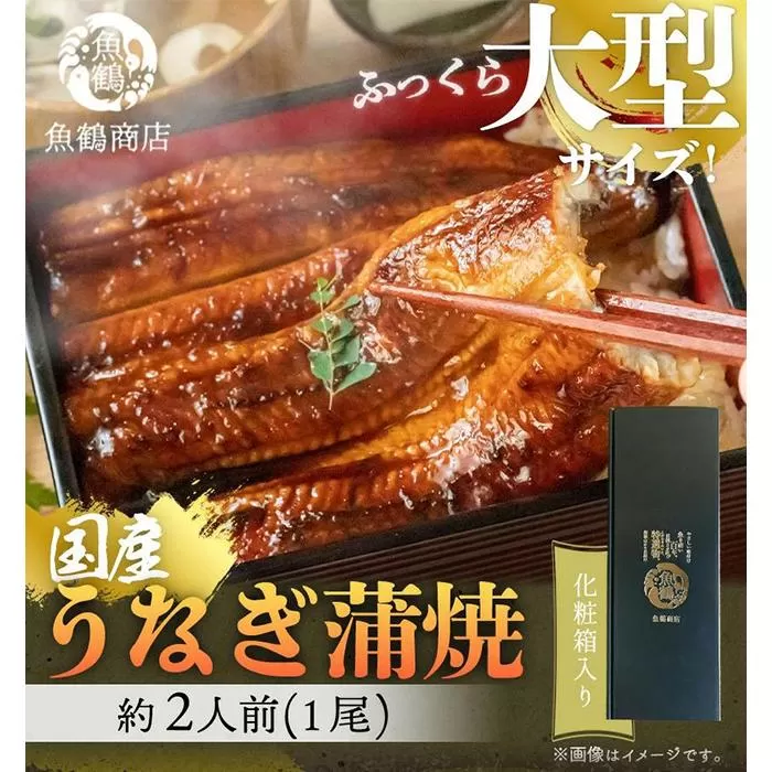 大型サイズ　ふっくら柔らか　国産うなぎ蒲焼き　１尾（約2人前）化粧箱入【秋土用の丑の日のうなぎ】【～10月28日までにお届け】【UT04】