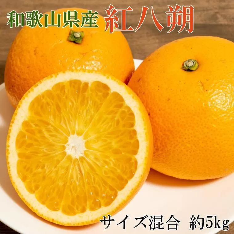 【希少品】和歌山県産紅八朔約5kg（サイズ混合）★2025年１月下旬頃より順次発送【先行予約】【TM88】