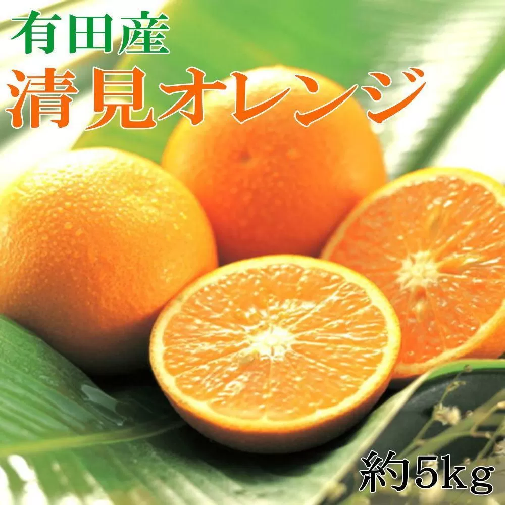 【濃厚】農家さん直送の清見オレンジ 約5kg（サイズおまかせ・秀品）★2025年2月上旬頃より順次発送【TM152】