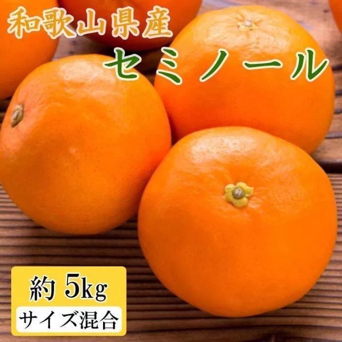 和歌山県産セミノールオレンジ約5kg(サイズ混合　秀品)★2025年4月頃より順次発送【TM146】