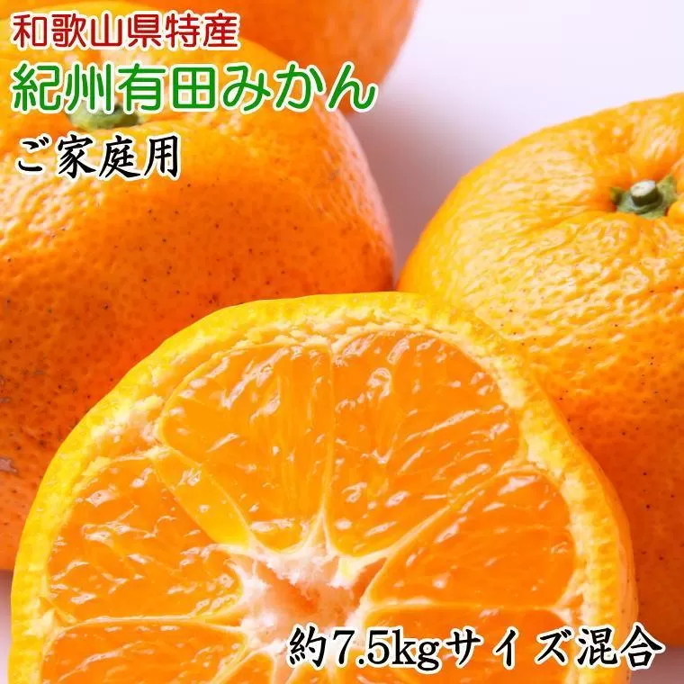 和歌山有田みかん7.5kg ご家庭用 (サイズ混合) ★2024年11月中旬頃より順次発送【TM103】