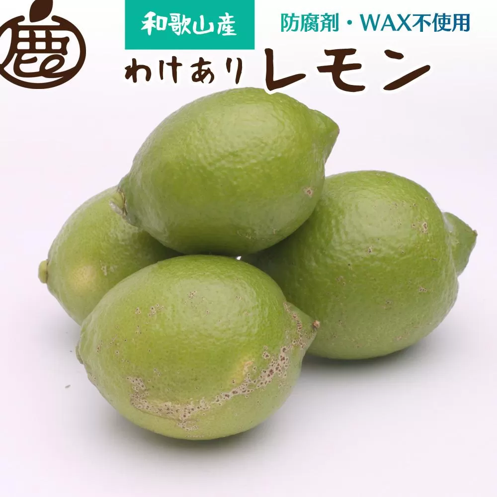 ＜9月より発送＞家庭用 黒潮レモン2.5kg+75g（傷み補償分）【和歌山有田産】【防腐剤・WAX不使用、安心の国産レモン】【わけあり・訳ありレモン】