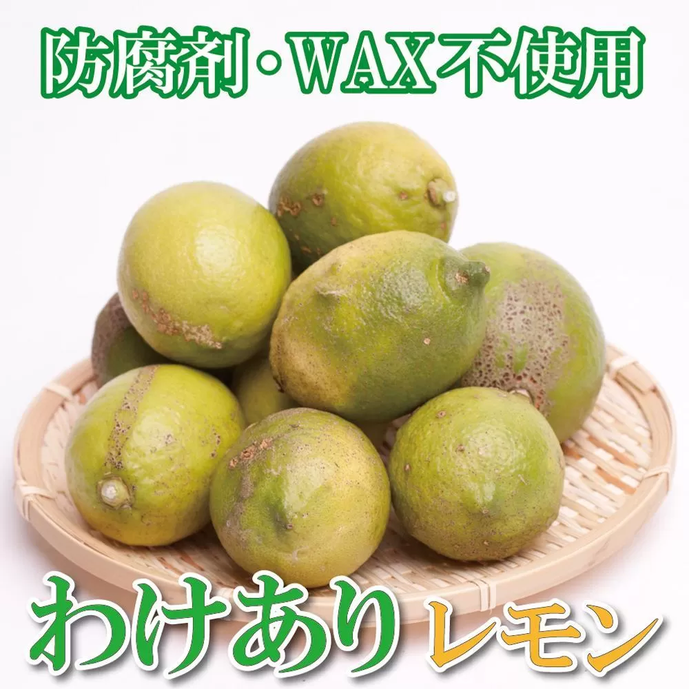 ＜9月より発送＞家庭用 黒潮レモン5kg+150g（傷み補償分）【和歌山有田産】【防腐剤・WAX不使用、安心の国産レモン】【わけあり・訳ありレモン】