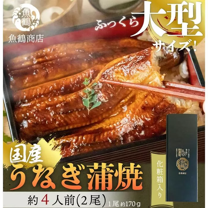 大型サイズ　ふっくら柔らか　国産うなぎ蒲焼き　2尾　化粧箱入【秋土用の丑の日のうなぎ】【～10月28日までにお届け】【UT05】