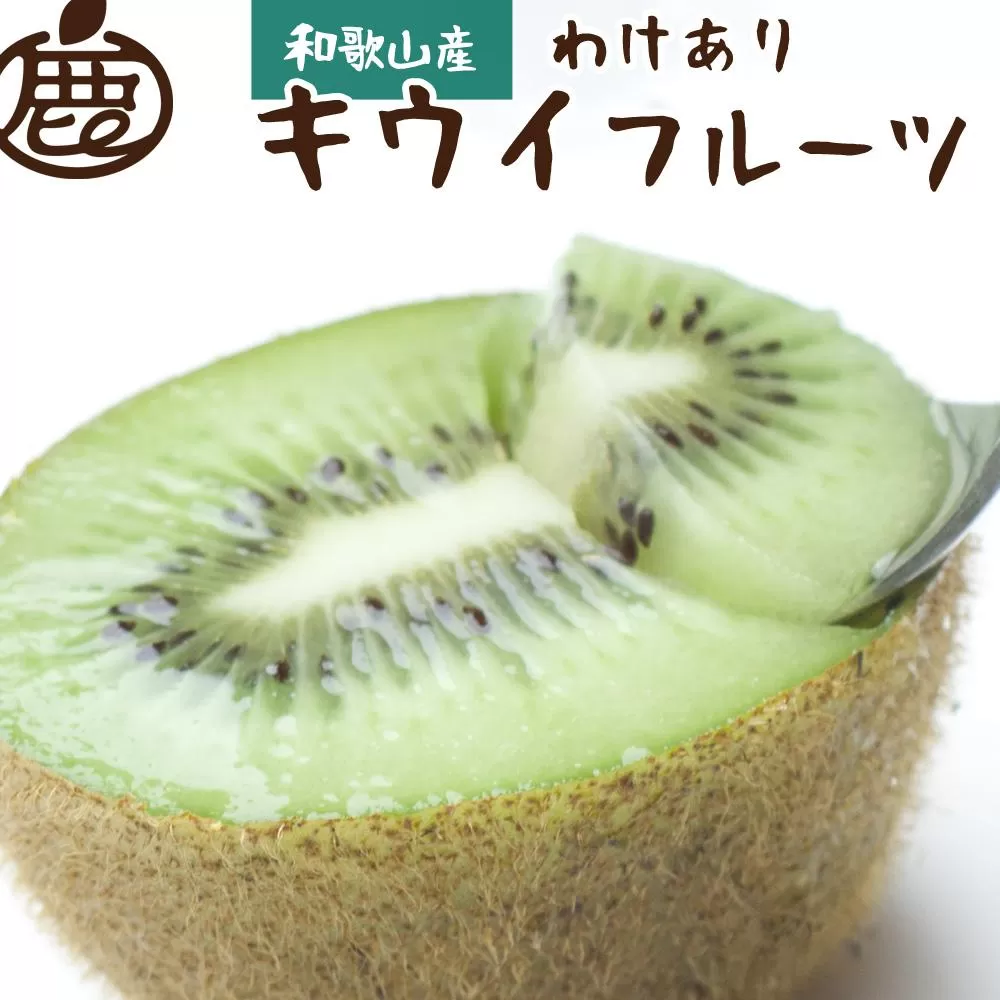 ＜11月より発送＞家庭用 キウイフルーツ1.5kg+45g（傷み補償分）【わけあり・訳あり・扁平果】