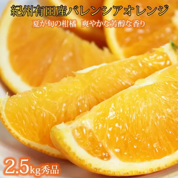 秀品 希少な国産バレンシアオレンジ 2.5kg【2025年6月下旬頃～2025年7月上旬頃に順次発送】【UT75】