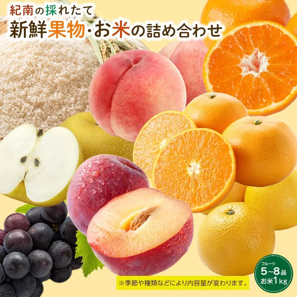 1月発送分】船橋産キウイフルーツ5.2kg未追熟バラ詰め【傷み補償分約200ｇ込み】 (E03)｜船橋市｜千葉県｜返礼品をさがす｜まいふる by  AEON CARD