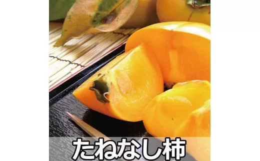 [ 県認定エコファーマー]採れたてタネなし柿Lサイズ7.5kg※10月中旬から順次発送 フルーツ 果物 くだもの 食品 人気 おすすめ 送料無料