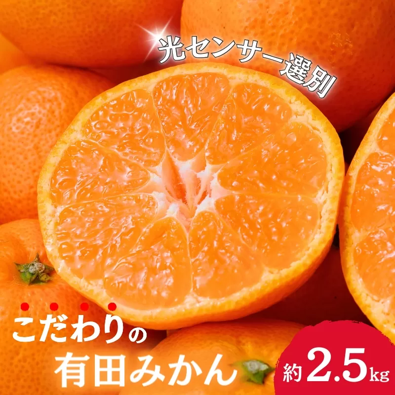 【2025年1月発送】【家庭用】こだわりの有田みかん 約2.5kg＋75g(傷み補償分) 【1月発送】 ※北海道・沖縄・離島配送不可