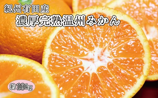 完熟有田みかん 10kg ※2025年11月下旬頃?2026年1月下旬頃に順次発送予定(お届け日指定不可) 和歌山 みかん 有田みかん フルーツ 果物