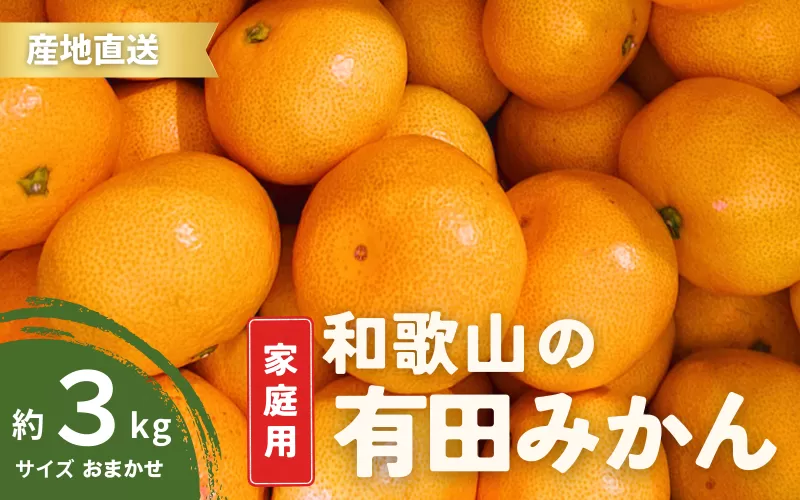 【12月発送】ご家庭用 有田みかん 和歌山 S〜Lサイズ 大きさお任せ 3kg / みかん フルーツ 果物 くだもの 有田みかん 蜜柑 柑橘【ktn006A-12】