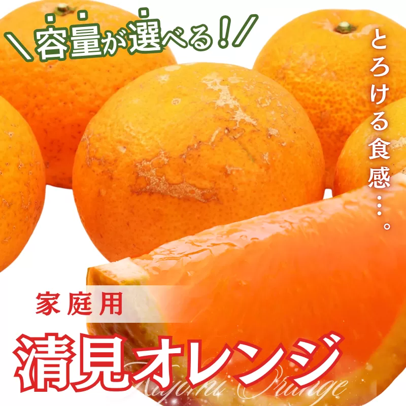 ＜2月より発送＞家庭用 清見オレンジ3.5kg+105g（傷み保証分）【光センサー食頃出荷】【樹上完熟きよみオレンジ・清見タンゴール・清美】【わけあり・訳あり】※北海道・沖縄・離島への配送不可【ikd199】