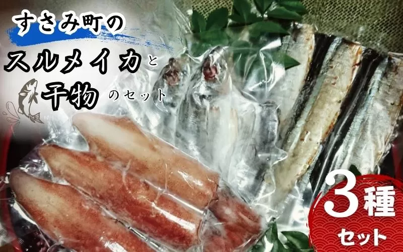 すさみ町のスルメイカと干物のセット（スルメイカ×1匹 、干物×6枚【あじ開き×3 、さんまみりん干し×3 】）/ いか スルメ するめいか アジ 鯵 サンマ 秋刀魚  詰め合わせ