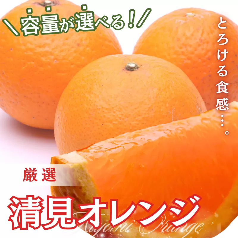 ＜2月より発送＞厳選 清見オレンジ4kg+120g（傷み補償分）【光センサー食頃出荷】【樹上完熟きよみオレンジ・清見タンゴール・清美】 ※北海道・沖縄・離島への配送不可【ikd197】