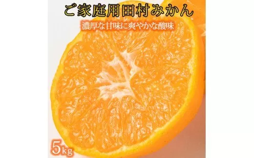 [先行予約][ご家庭用訳あり]田村みかん 5kg ※2025年11月下旬頃?2026年1月下旬頃 / みかん 果物 フルーツ 和歌山 有田みかん