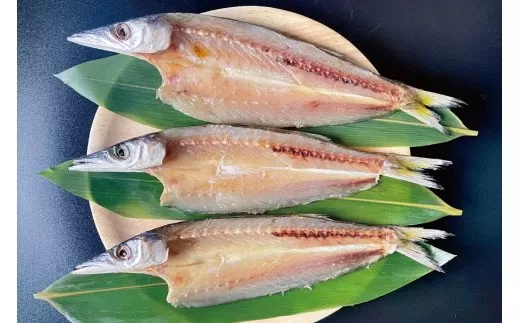 至福の旨味！カマスの干物15枚セット（1パック3枚入×5）/ ひもの かます 詰め合わせ 魚 和歌山すさみ町加工