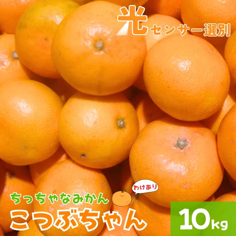 【訳あり】3S ちっちゃな有田みかん 10kg ※2024年11月中旬〜2025年1月中旬までに順次発送予定（お届け日指定不可）※北海道・沖縄・離島への配送不可 訳ありみかん みかん ミカン 蜜柑 柑橘 フルーツ 果物 くだもの 温州みかんサイズ混合 訳ありみかん 有機質肥料100% ふるさと納税 柑橘 有田 産地直送