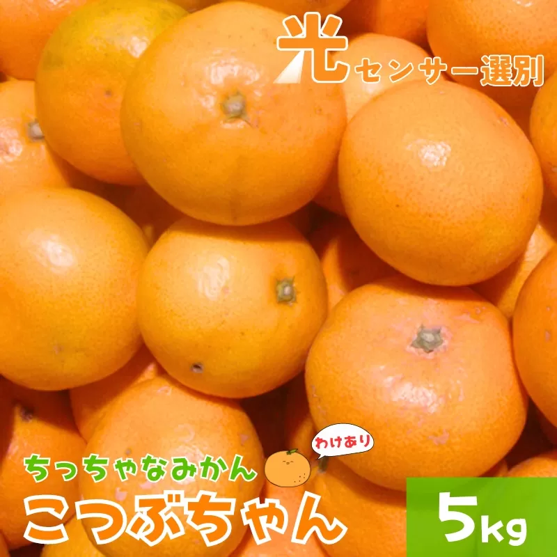 【訳あり】3S ちっちゃな有田みかん 5kg ※2024年11月中旬〜2025年1月中旬までに順次発送予定（お届け日指定不可）※北海道・沖縄・離島への配送不可 訳ありみかん みかん ミカン 蜜柑 柑橘 フルーツ 果物 くだもの 温州みかんサイズ混合 訳ありみかん 有機質肥料100% ふるさと納税 柑橘 有田 産地直送