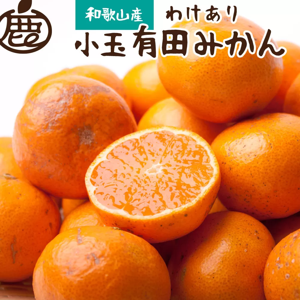 家庭用 小玉な有田みかん2.5kg+75g（傷み補償分）【わけあり・訳あり】【光センサー選果】※北海道・沖縄・離島への配送不可 / みかん 果物 フルーツ オレンジ ミカン 果実 【ikd153A】