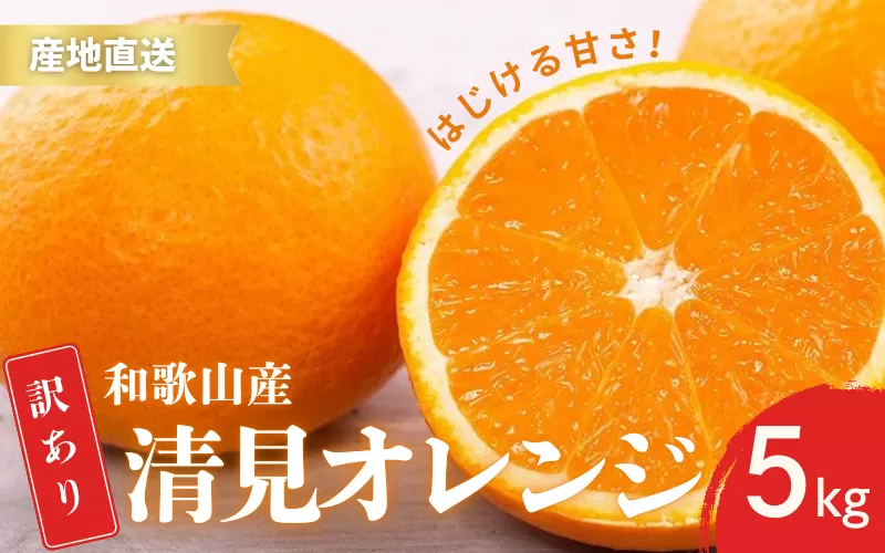 【先行予約】訳あり きよみ 清美オレンジ 和歌山 有田 2S〜3Lサイズ混合 5kg 【2月中旬〜3月下旬頃に順次発送】/ みかん フルーツ 果物 くだもの 蜜柑 柑橘【ktn023A】