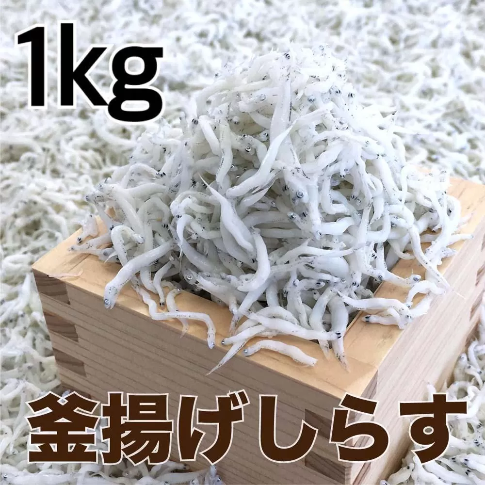 釜揚げしらす1kg(500g×2パック) / シラス 厳選 小分け 冷蔵便【dig012】