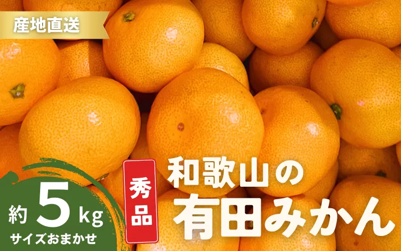 【12月発送】秀品 有田みかん 和歌山県産  S〜Lサイズ 大きさお任せ 5kg / みかん フルーツ 果物 くだもの 有田みかん 蜜柑 柑橘【ktn002-12】