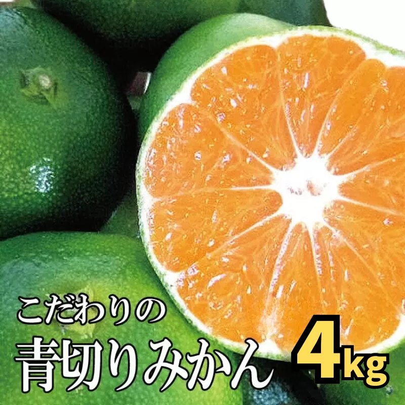 【2025年秋頃発送予約分】【農家直送】こだわりの青切りみかん 約4kg 有機質肥料100%　 サイズ混合　※2025年9月下旬より順次発送予定（お届け日指定不可） 