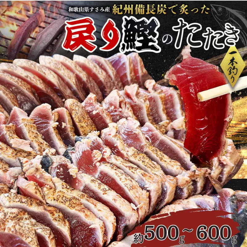 すさみ町産 秋の戻り鰹のたたき 約500g～600g / 鰹 かつお かつおのたたき 刺身 タタキ 天然 初鰹 冷凍 真空 小分け 個包装 加工品 魚 和歌山県 すさみ町