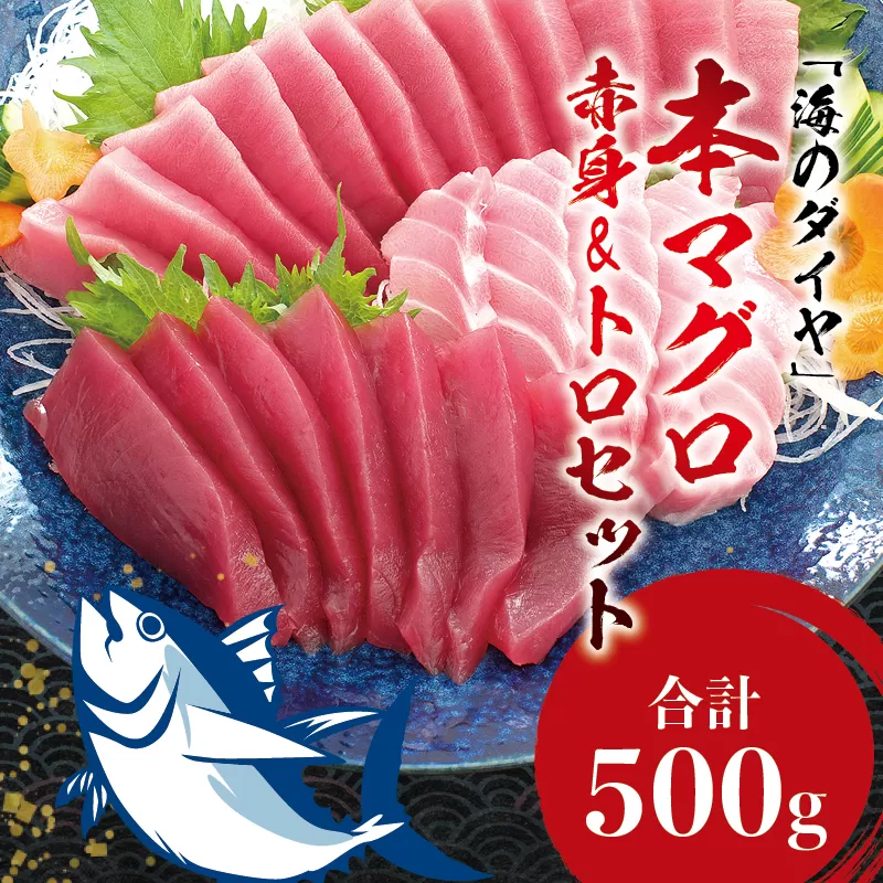 本マグロ（養殖）トロ＆赤身セット 500g 【１ヶ月以内に順次発送】 高級 クロマグロ 中トロ 中とろ まぐろ マグロ 鮪 刺身 赤身 柵 じゃばらまぐろ 本マグロ 本鮪