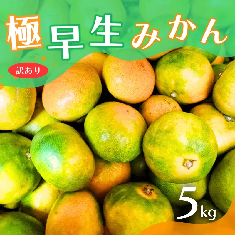 【2024年秋頃発送予約分】【訳あり】こだわりの極早生みかん 約5kg ※2024年10月上旬より順次発送予定（お届け日指定不可） 有機質肥料100% サイズ混合 有田産 / みかん ミカン 有田みかん 和歌山 早生 極早生 訳あり フルーツ 果実 柑橘 くだもの 果物 早生みかん 予約販売