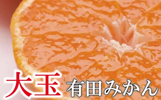 ＜11月より発送＞家庭用 大きな有田みかん3kg+90g（傷み補償分）【わけあり・訳あり】【光センサー選果】【ikd176】