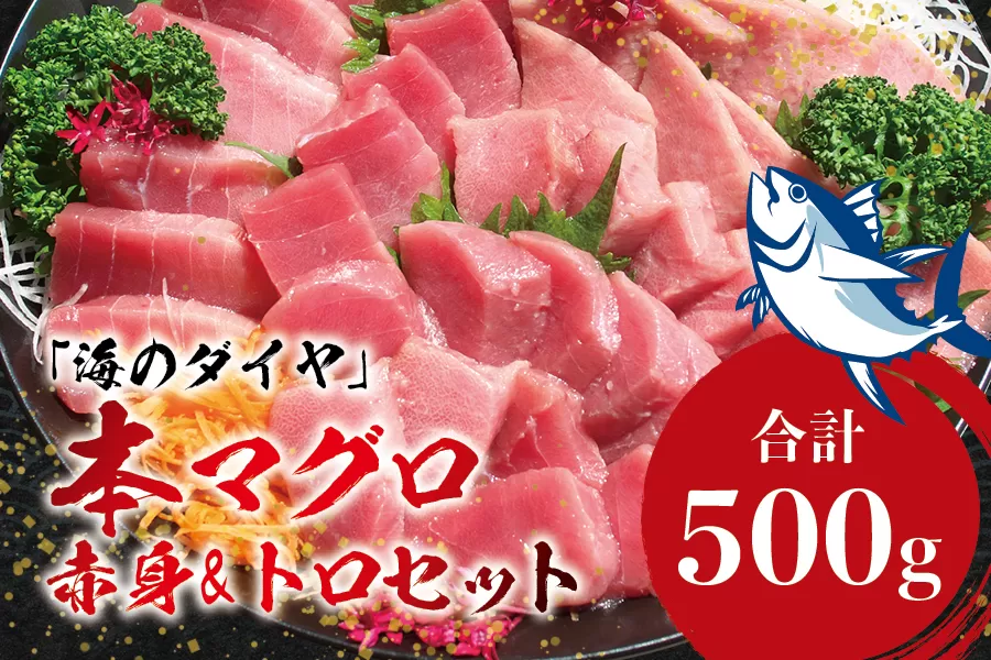 本マグロ（養殖）トロ＆赤身セット 500g 【5月発送】まぐろ 刺身 鮪 本鮪 クロマグロ 赤身 中とろ