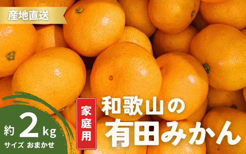 【1月発送】  ご家庭用 有田みかん 和歌山 S〜Lサイズ 大きさお任せ 2kg  / みかん フルーツ 果物 くだもの 有田みかん 蜜柑 柑橘【ktn005-1】