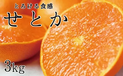 とろける食感!ジューシー柑橘 せとか 約3kg[予約]※2025年2月末頃〜2025年3月中旬頃発送(お届け日指定不可)※離島配送不可