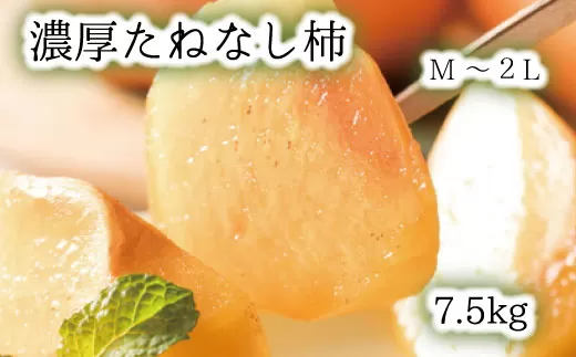【和歌山ブランド】 濃厚たねなし柿　秀品　M〜Lサイズ　約7.5kg入り