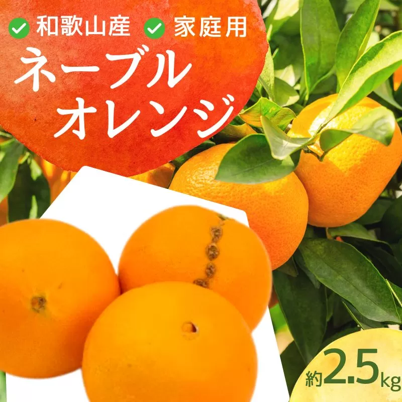 ＜2月より発送＞家庭用 ネーブルオレンジ2.5kg+75g（傷み補償分）【訳あり・わけあり】【光センサー選別】 ※北海道・沖縄・離島への配送不可【ikd202】