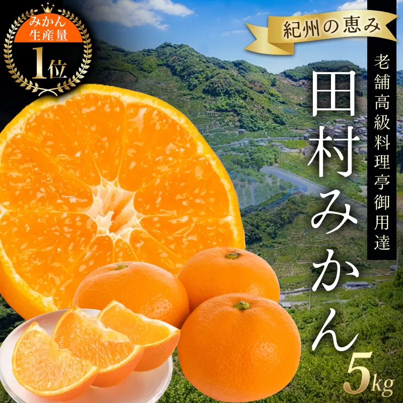 高級ブランド 田村みかん 5kg【予約】※2025年11月下旬頃?2026年1月下旬頃に順次発送予定(お届け日指定不可) みかん ミカン 有田みかん フルーツ 果物 柑橘