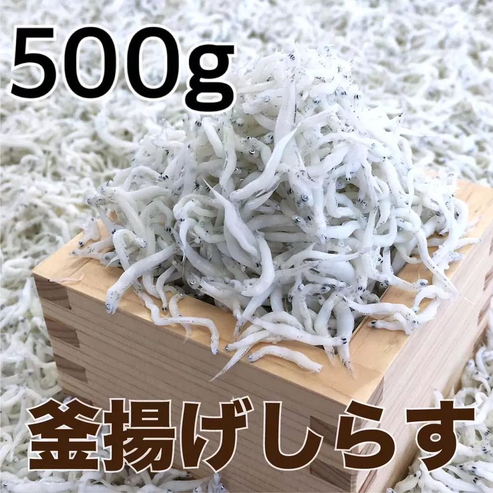 釜揚げしらす500g / シラス 厳選 小分け 冷蔵便【dig011】