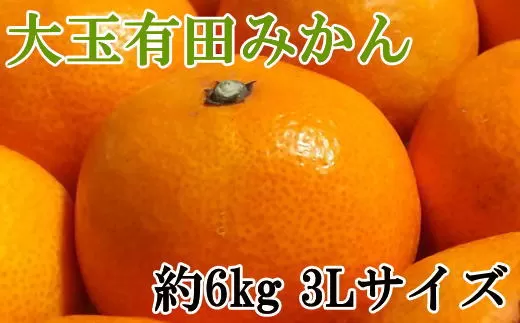 [秀品]和歌山有田みかん　6kg(3Lサイズ) ※2023年11月中旬より順次発送