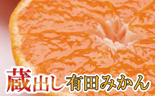 ＜1月より発送＞家庭用 蔵出みかん10kg+300g（傷み補償分）【有田の蔵出しみかん】【わけあり・訳あり】【光センサー選果】【ikd179】