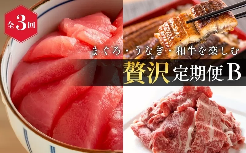 【全3回】まぐろ・うなぎ・和牛を楽しむ贅沢定期便B / 鮪 マグロ 刺身 鰻 ウナギ 蒲焼 熊野牛 肉 牛肉 和牛 黒毛和牛 赤身 こま切れ 【tkb387】