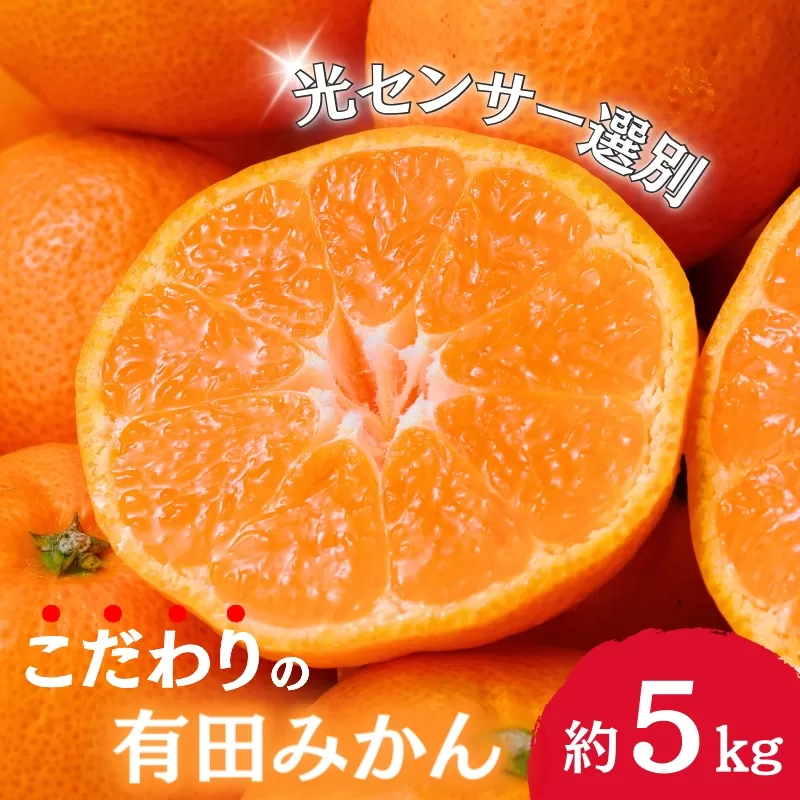 【2024年12月発送予約分】【家庭用】こだわりの有田みかん　約5kg＋150g(傷み補償分)  有機質肥料100% サイズ混合　【12月発送】※北海道・沖縄・離島配送不可