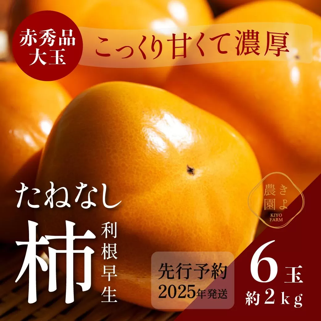 柿(種無し) 6個入 (約2kg)  秀品大玉【2025年9月下旬頃より発送】【KT1】