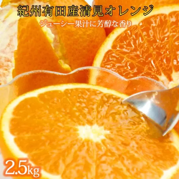 とにかくジューシー清見オレンジ 約2.5kg【2025年3月下旬以降発送】【先行予約】【UT131】