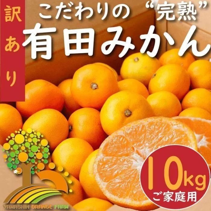 【訳あり】有田みかん 約10kg【2024年10月下旬より順次発送】