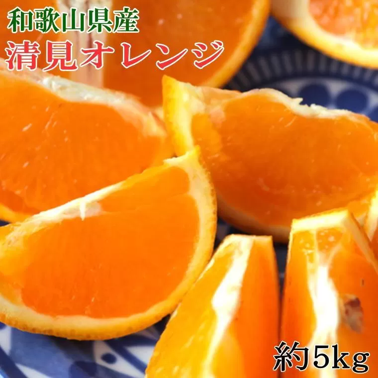 和歌山県産清見オレンジ約5kg（サイズ混合）★2025年3月中旬頃より順次発送【TM160】