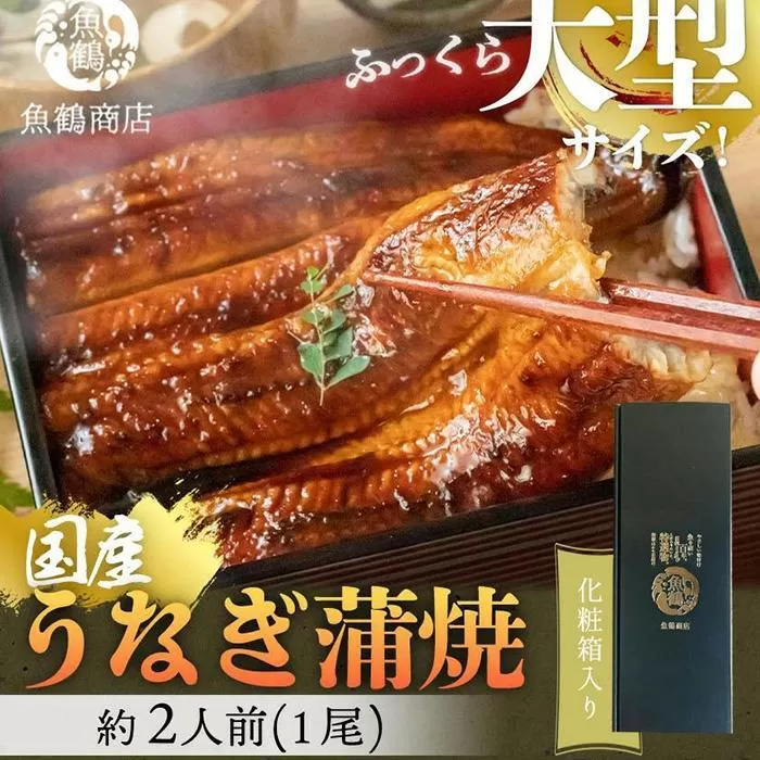 大型サイズ 　ふっくら柔らか国産うなぎ蒲焼き　1尾（約2人前）化粧箱入